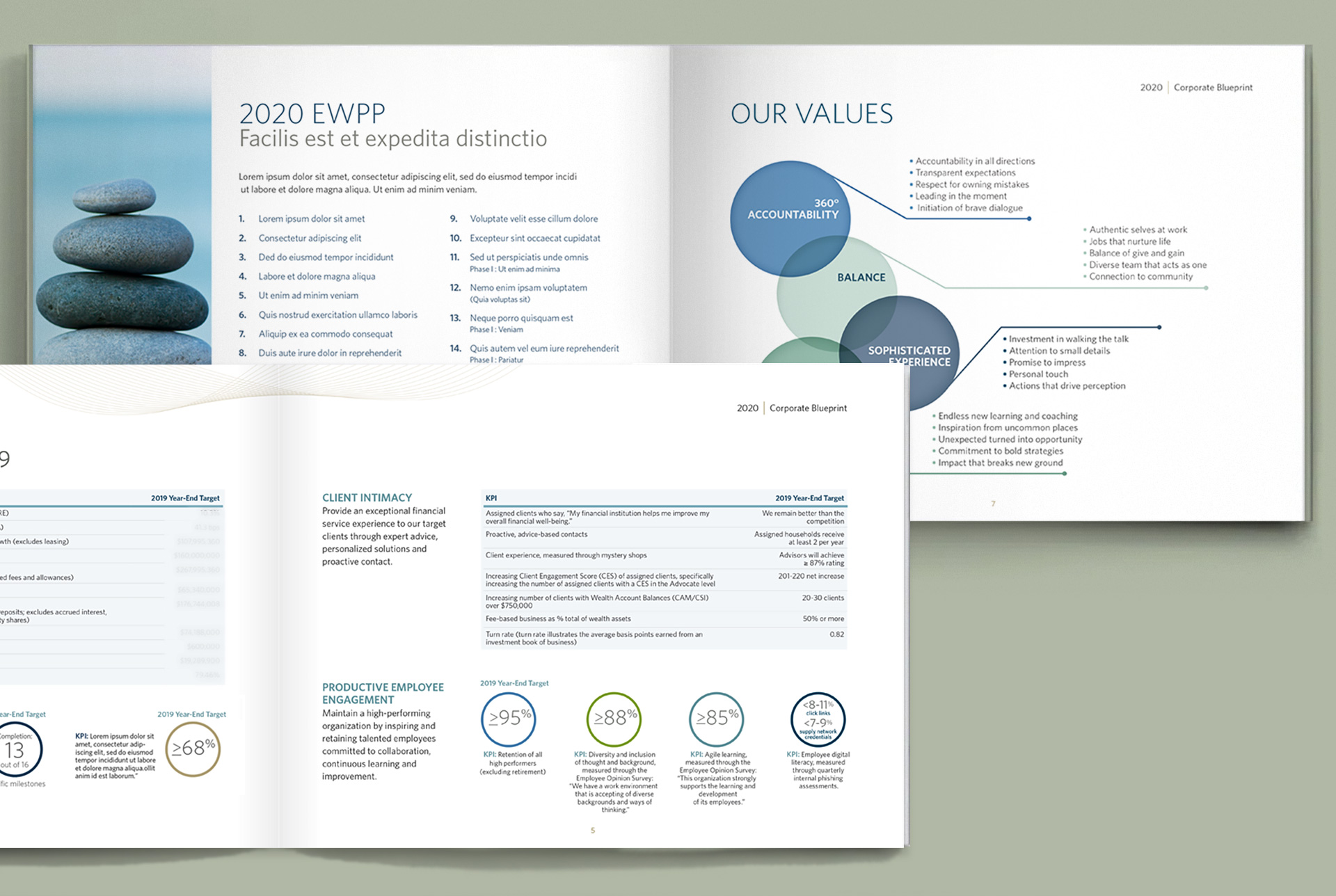 BlueShore Merger book 1